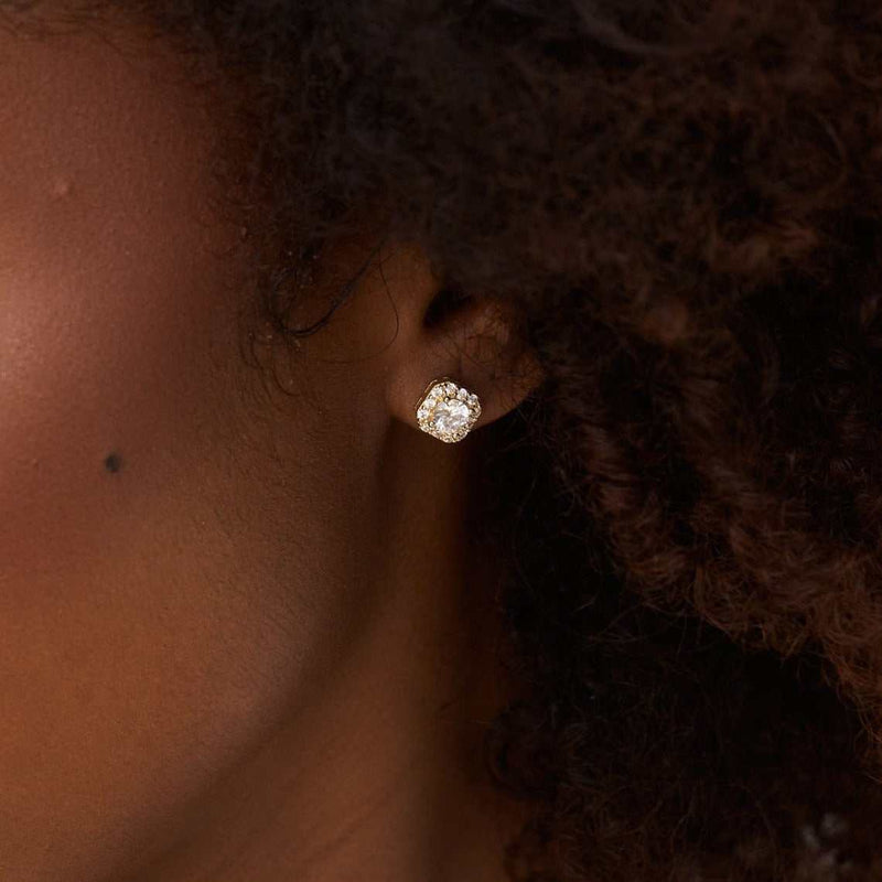 Micro Clustered Diamond Earrings in Yellow Gold