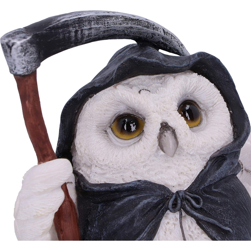 Flight Grim Reaper Owl